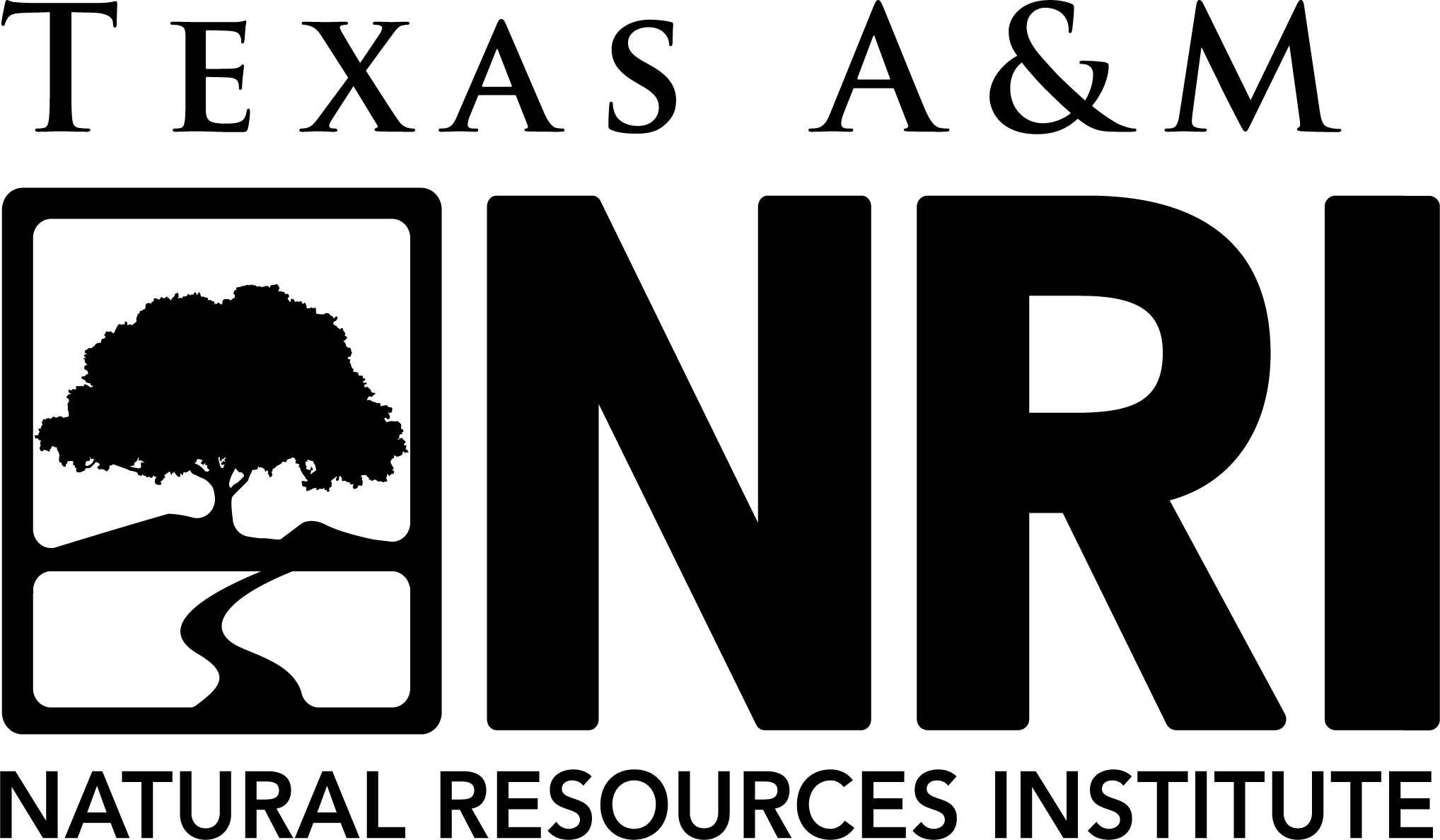 NRI Logo