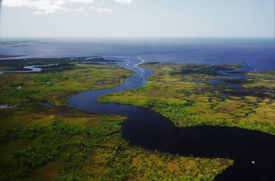 South Pass of the Suwannee River. Image Credit: Larry Woodward/USFWS